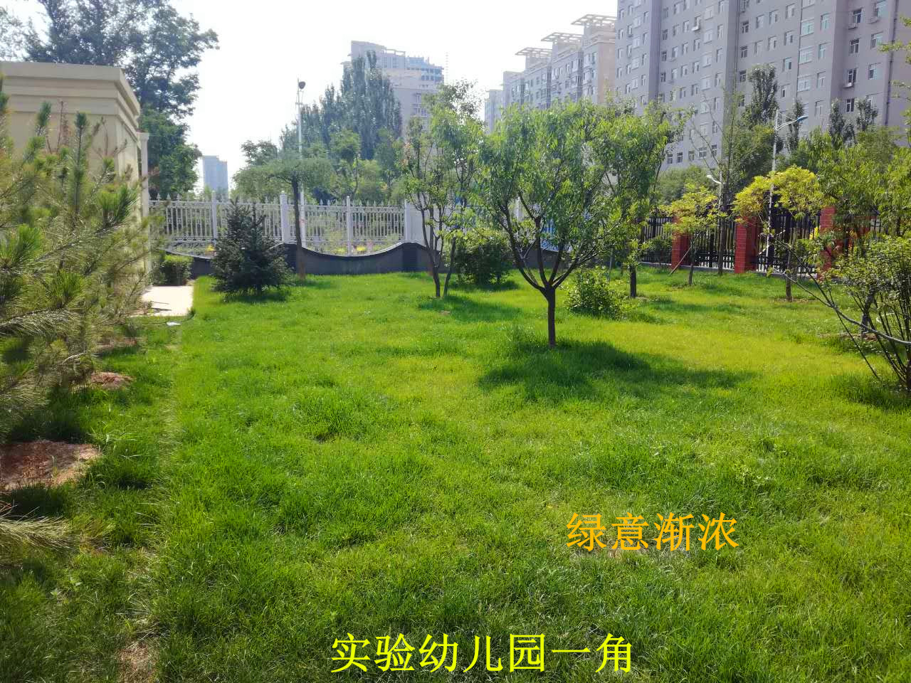 忻州市新建實驗幼兒園