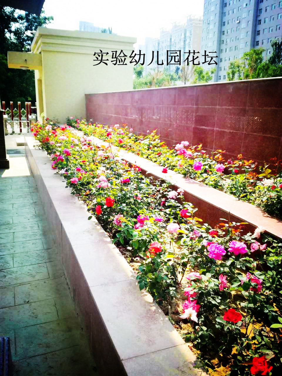忻州市新建實驗幼兒園