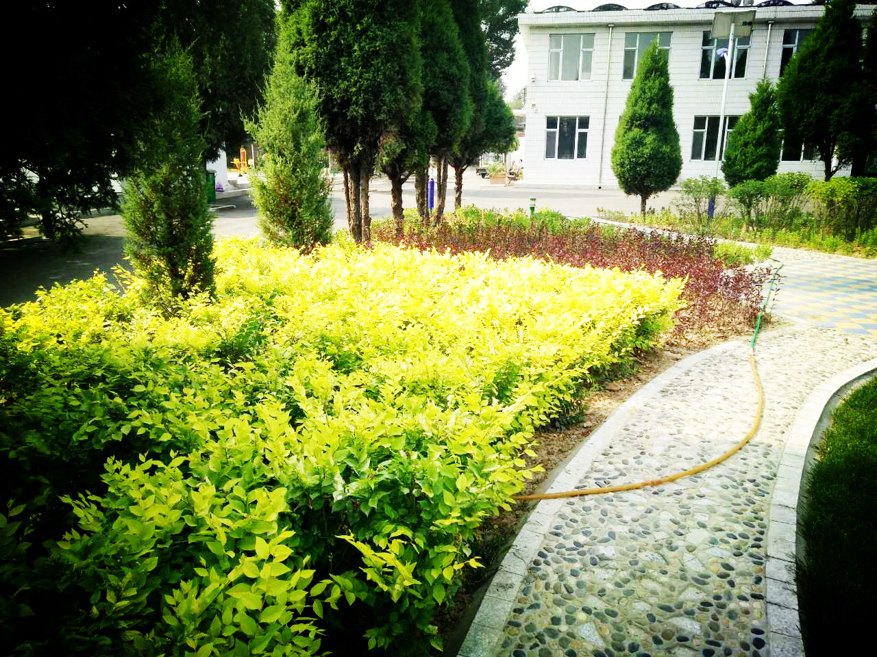 豆羅光榮院