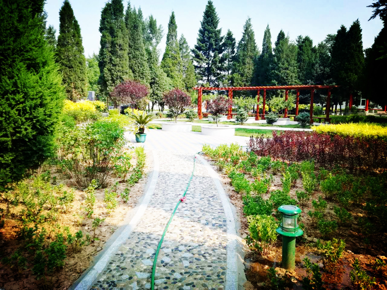 豆羅光榮院