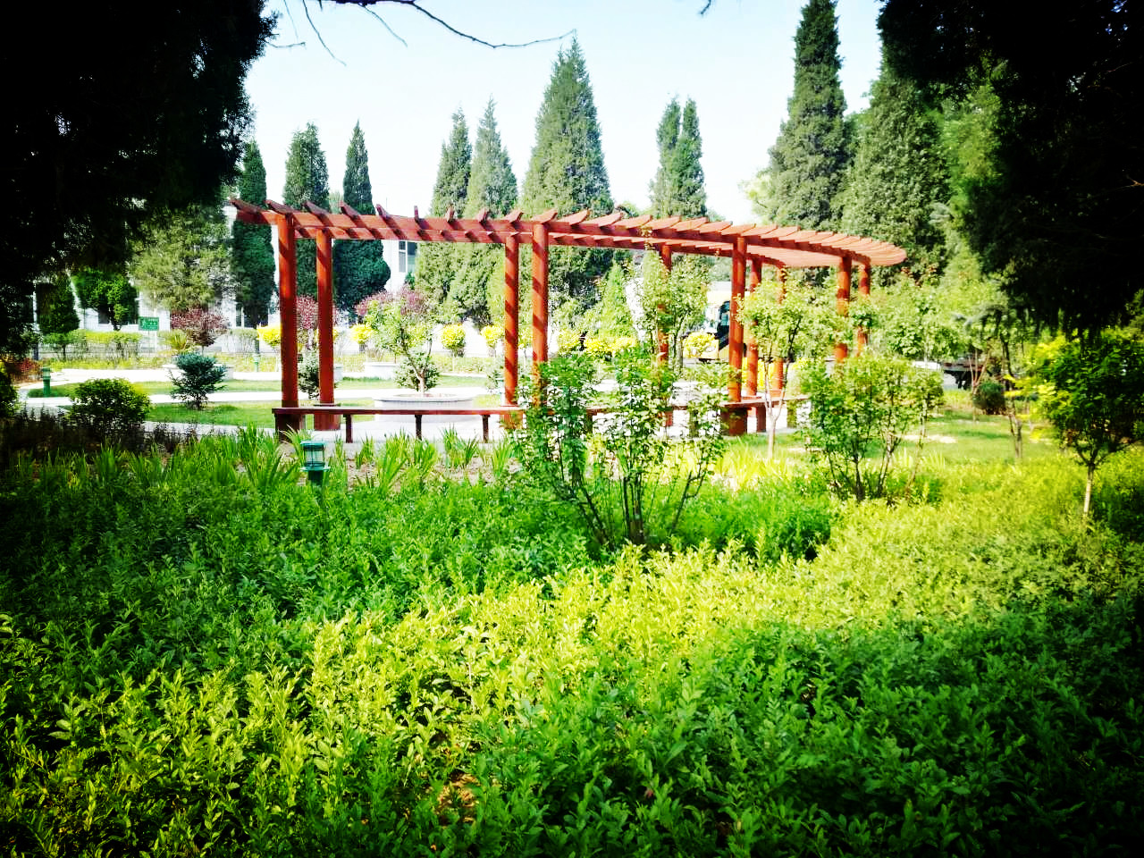 豆羅光榮院