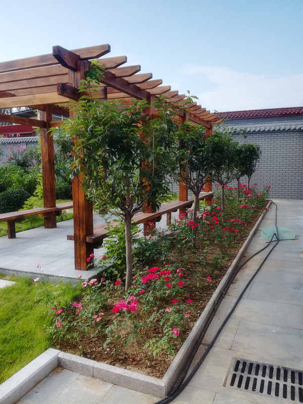 溫村小院