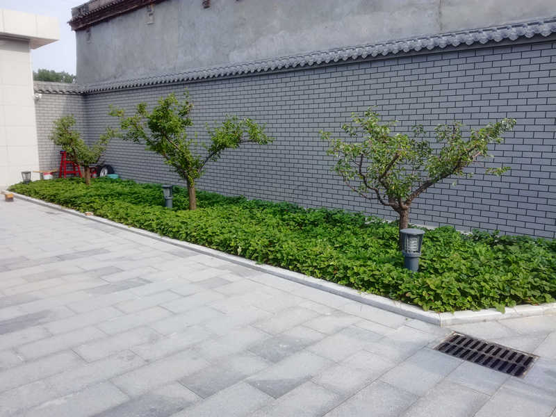 溫村小院
