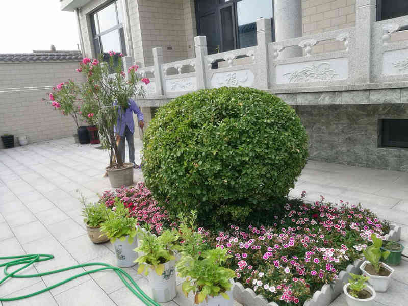 溫村小院